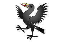adler