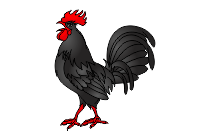 adler