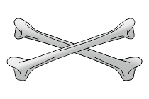 adler