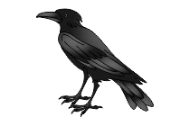 adler