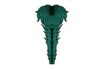 straussenfeder