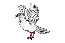 adler