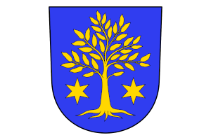 achermann von bueron