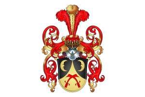 saladin von duggingen