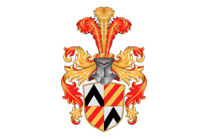 steiner von ingenbohl